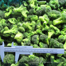 Vegetales congelados de brócoli fresco congelado de IQF